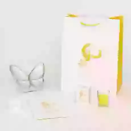 White Butterfly